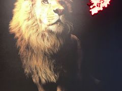 -老鼎旺安格斯牛肉火锅(衡艺广场店)