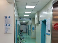 -北京观赏动物医院·24小时大型综合·猫专科·异宠专科