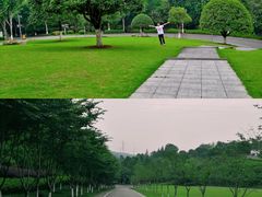 -重庆园博园