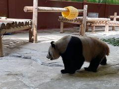 -杭州野生动物世界
