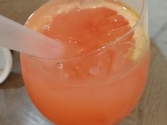 伊丽莎白-共舞时光猫咖·狗咖(新街口店)