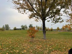 -瀛海足球主题公园