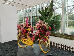 -上海鲜花港