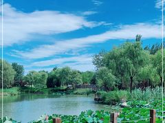 -稻香湖景欢乐岛温泉城堡