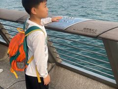 -星光大道