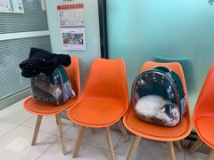 -纳吉亚猫专科动物医院博雅分院
