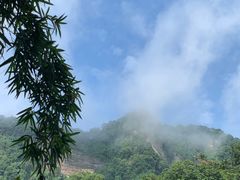 -青城山