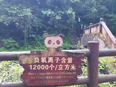 -西岭雪山大飞水景区