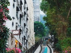 -太平山顶