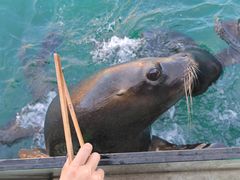 -大连老虎滩海洋公园