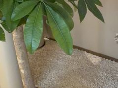-泰合玺·精油疗愈 SPA(南京河西万达店)