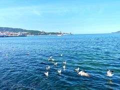 -悦海公园