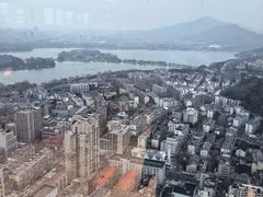 -紫峰大厦