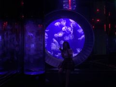 -成都浩海立方海洋公园