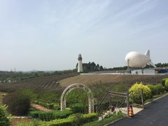 -紫颐香薰山谷景区