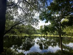 -上海共青森林公园