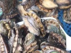 小鲍鱼-盒马鲜生(皇庭广场店)