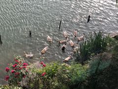 -上海怡沁园度假酒店