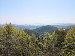-惠山国家森林公园
