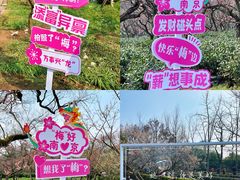 -梅花山(明孝陵内)