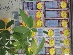 -中国体育彩票(竞彩店)