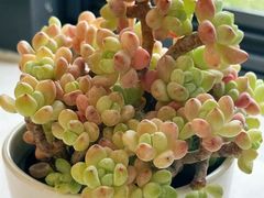 -浙江省中医院(湖滨院区)