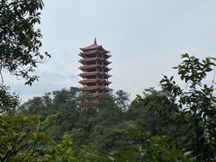 -缙云山景区