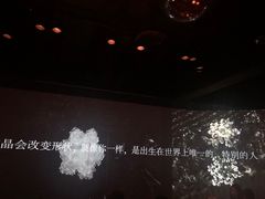 -地球美食剧场