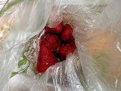 -雪儿钱局泡菜