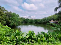 -广州长隆野生动物世界
