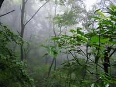 -太平万花山景区
