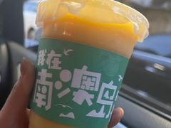 -南澳岛打卡果汁冰公司