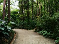 -南岗山公园