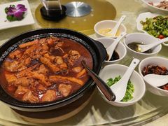 老豆腐煲肥肠-紫玉食府