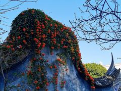 -乌山风景区