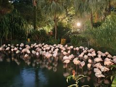 -香港皇家太平洋酒店