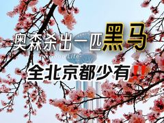 -赫石少儿体能馆(奥森店)
