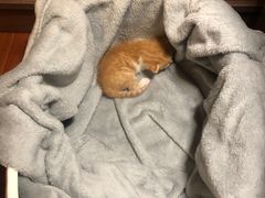 -莱仪堂艾灸经络养生馆(九亭一店)