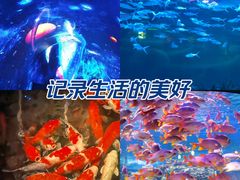 -正佳极地海洋世界