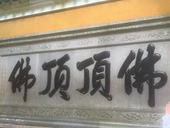 -普陀山风景区-佛顶山