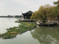 -观桥阁(锦溪店)