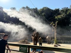 -野象谷景区