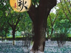 -沙河三洞古桥公园