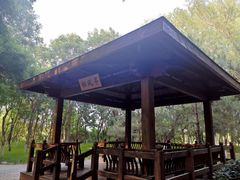 -大兴滨河森林公园