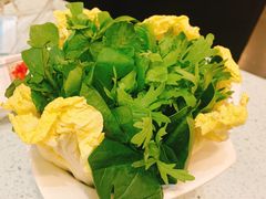 -烹然四季椰子鸡火锅(团结湖总店)