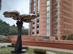 -香港大学