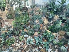 -国家植物园南园