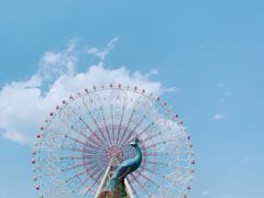 -七彩云南欢乐世界