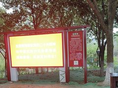 -洋湖国家湿地公园