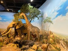 -陕西自然博物馆